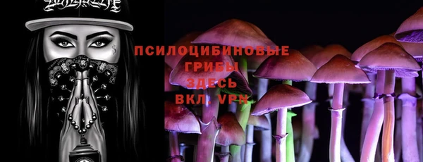 герыч Протвино