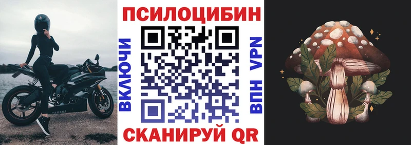 ОМГ ОМГ как войти  Мезень  Галлюциногенные грибы Psilocybe 